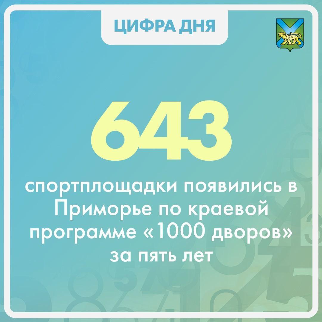 Более 600 современных спортивных площадок появились возле домов жителей Приморья за последние несколько лет.