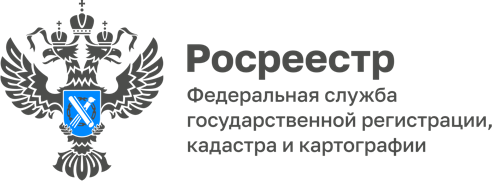 Итоги деятельности в сфере земельного надзора за 1 полугодие 2023 года подвели специалисты Приморского Росреестра.