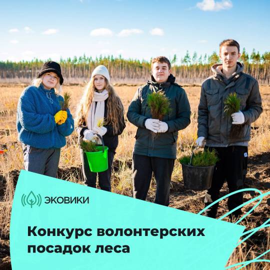 Волонтеры и экологисты в регионах могут получить премию за помощь в восстановлении лесов. Волонтеры и экологисты в регионах могут получить премию за помощь в восстановлении лесов.